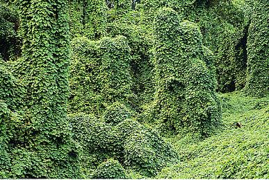 欧美2025年1月收入&热度榜：PS《自杀小队》重登榜