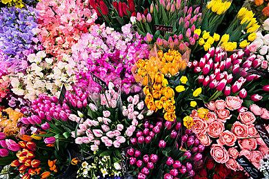 《CRYSTAR -恸哭之星-》发售四周年纪念插图公开 销量达14万份