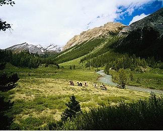 《遗迹2》职业介绍新宣传片公布：牵犬师