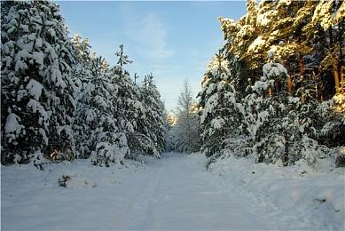 传闻：Atlus多款新作开发中 《女神异闻录6》2025年发售